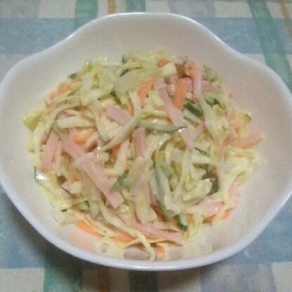 野菜がたっぷり食べられていいですね。お酢でさっぱりと美味しかったです。